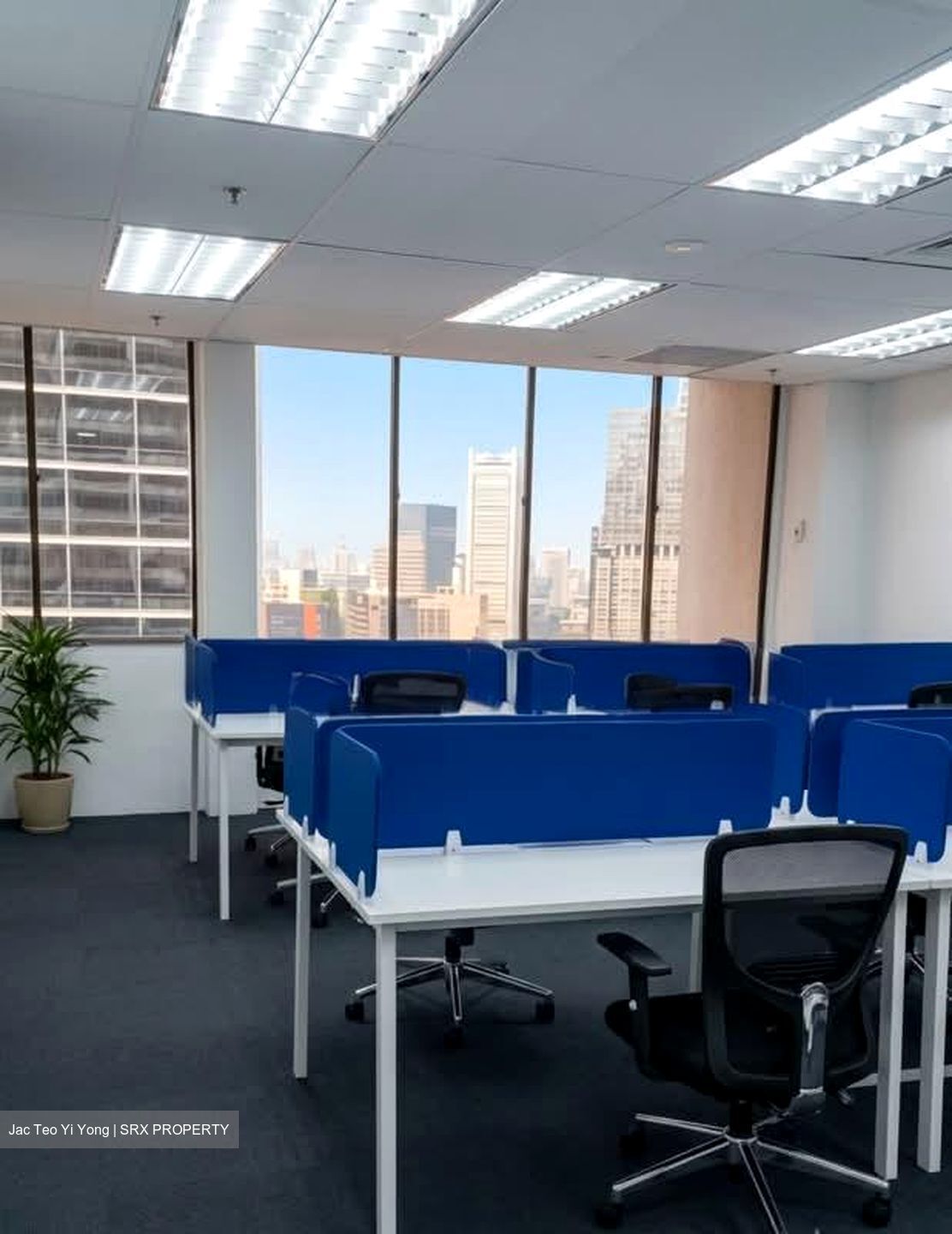 International Plaza (D2), Office #576584521